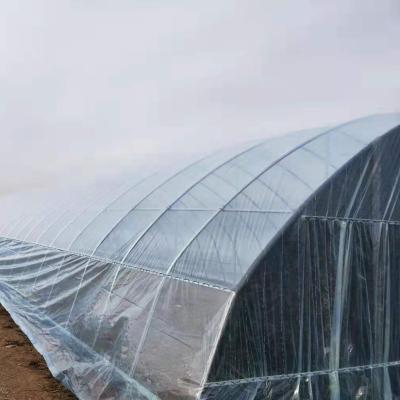 China Eco Friendly Wholesale Heater Greenhouse Multi-span Solar Greenhouse for sale