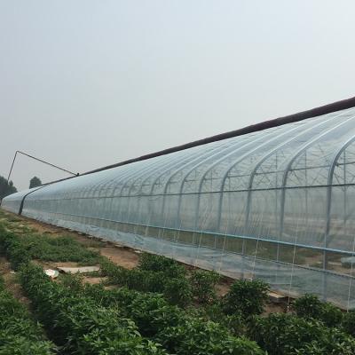 China Eco Friendly High Steel Pipe Tunnel Greenhouse UV Resistant Plastic Sheet Greenhouse For Vegetable for sale