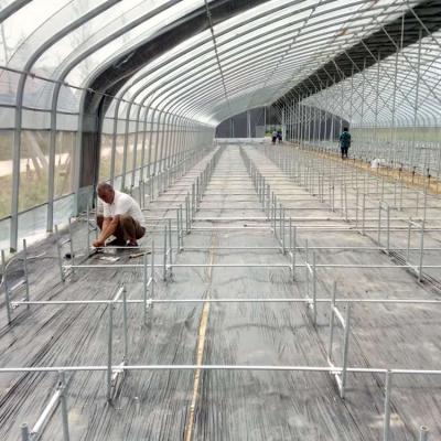 China Eco Friendly High Quality Tunnel Metal Greenhouse Galvanized Steel Frame Agricultural Plastic Sheet Greenhouse for sale