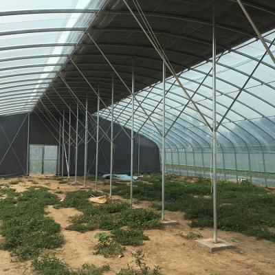 China Eco Friendly Hot Sale High Quality Tunnel Greenhouse Agricultural Plastic Sheet Greenhouse for sale