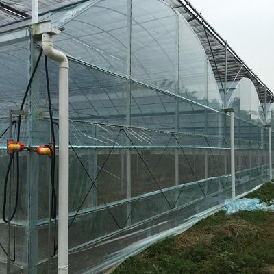 China Eco Friendly Factory Directly Supply Multi Span Film Commercial Agriculture Greenhouse for sale