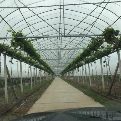 China Eco Friendly Wholesale High Quality Green House Plastic Sheet Multi-span Multi-span Hydroponic Growing Greenhouse For Fruit for sale