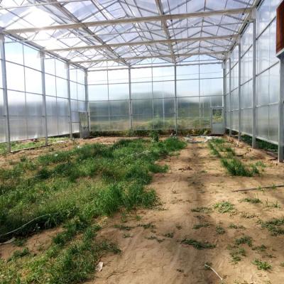 China Eco Friendly High Quality Safety Long Life Time Wide Scale Multi-span PC Sheet Greenhouse For Flower Plant for sale