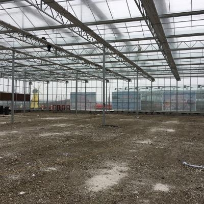 China Big Sale Eco Friendly Glass Greenhouse Aluminum Glass Greenhouse For Factory for sale