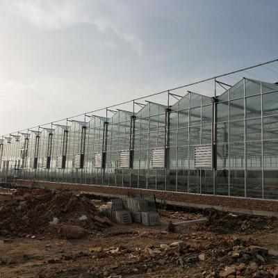 China Eco Friendly High Quality Multi-span Smart Farm Best Price Clear Glass Greenhouse For Vegetable for sale