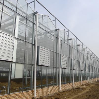 China Chinese Hot Selling Manufacturer Eco-Friendly Large Size Multi Span Greenhouse For Vegetables Commercial Greenhouse Glass for sale