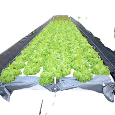 China Building Material Stores Complete Hydroponic System For Greenhouse Vegetable Growing for sale