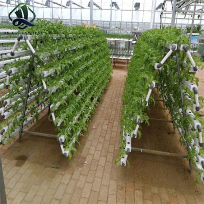 China Easy Growing Greenhouse Hydroponics Agricultural System for sale