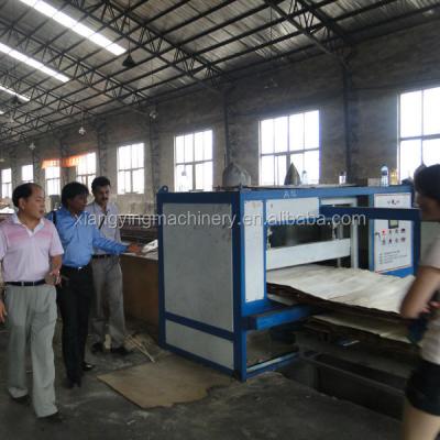 China Note Semi Automatic Plywood Plant for sale