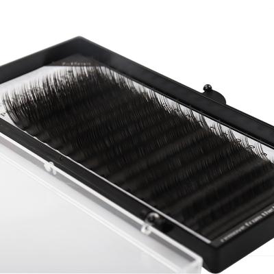 China Korean Silk Light And Soft Pbt Fiber Ellipse Flat Lash Extensions Different Mink Silk Eyelash Eyelash Extension for sale