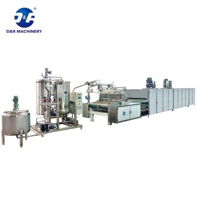 China DR-JSF CANDY Servo Driven Jelly Candy Gummy Candy Depositing Machines Candy Production Line for sale