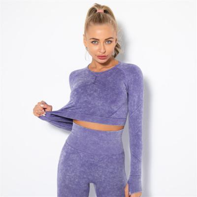 China Breathable Sexy Equipment Sets Autumn Purple Eco-Friendly Logo Print Long Sleeve Yoga Fitness Set Yoga Set For Women for sale