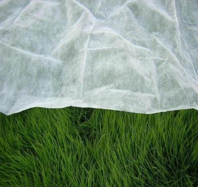 China Biodegradable UV Treated Nonwoven Fabric PP Spunbonded Garden Agriculture And Garden Tub For Keeping Plant Warm for sale