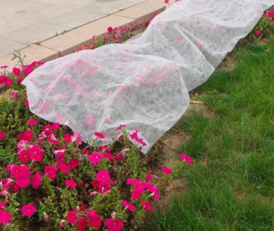 China UV Resistant Anti-bacteria 1%-5% Spunbond 100% PP Nonwoven Fabric Agriculture Plant Cover Nonwoven Fabric for sale