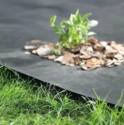 China Anti bacteria suppress weed pp non-woven fabric agricultural ground cover for sale