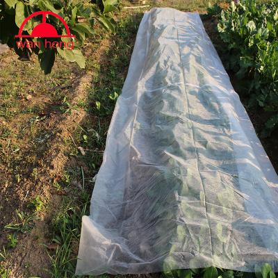 China Anti-bacteria Biodegradable Non-woven Fabric High Quality Agriculture Nonwoven Fabric Garden Mat To Prevent for sale