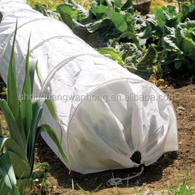 China High quality Anti-bacteria spunbond nonwoven pp greenhouse for vegetable seeds for sale