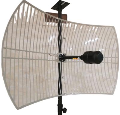 China 2*24dBi Long Range MIMO Parabolic Grid Antennas ZX-1738 Outdoor High Gain 1700-2700MHz 3G 4G LTE Grid Satellite Dish Antenna for sale