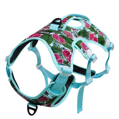 China New Chest and Punch Printing Type and Back Explosion Proof Buckle Dog Leash Dog Vest Lights 2022 Pet Supplies for sale