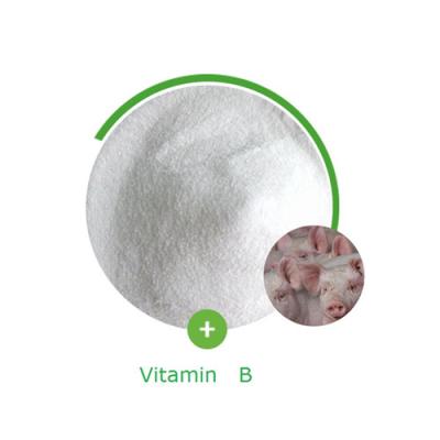 China EINECS 202-713-4 Vitamin Additives ISO Pure Niacinamide Powder for sale