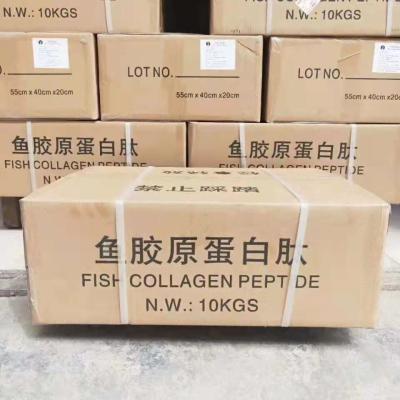 China Fish Collagen Peptide CAS 9064-67-9 Water Soluble 100% Pure Food Grade for sale