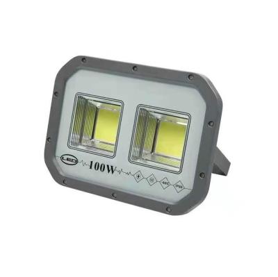 China All Outdoor Adjustable Led Solar Lights Remote Solar Flood Light With Outdoor For Garden for sale