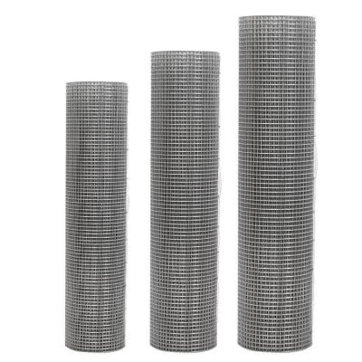 China Plain Weave 1/2 Inch Hole Size Welded Wire Mesh Hot Dip Galvanized Iron Wire Mesh For Birdhouse / Aviary Parrots for sale