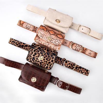 China Mini Detachable Waist Bag Casual Leopard Fashion Belt Ladies All-match Clothing Chain Belt Bag for sale