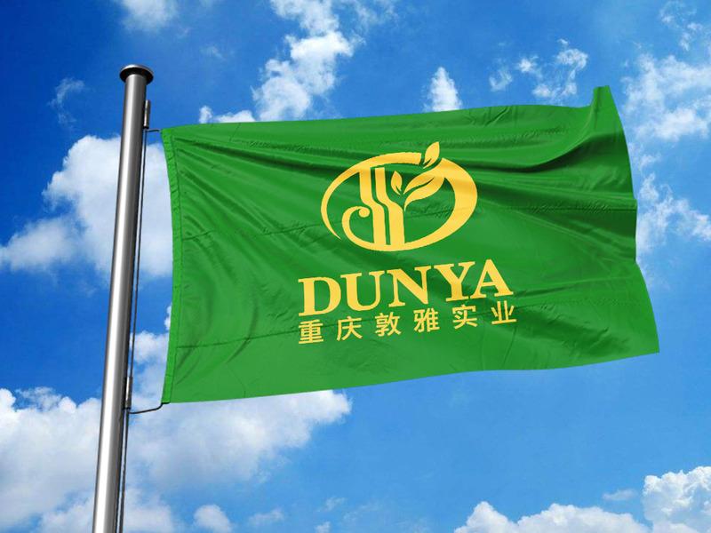 Verified China supplier - Chongqing Dunya Industrial Co., Ltd.