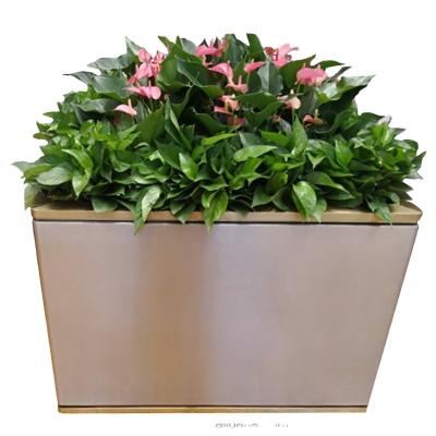 China DY20043 Traditional Rectangular Stand Large Indoor Outdoor Steel Planters Simple Modern Flower Pot for sale