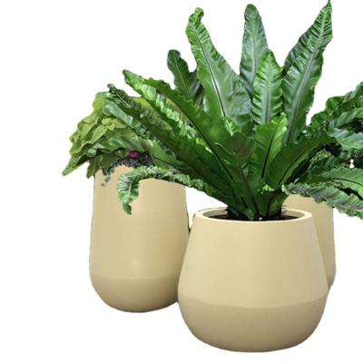 China DY20070 Modern Vertical Garden Outdoor Large Square Flower Pot for sale