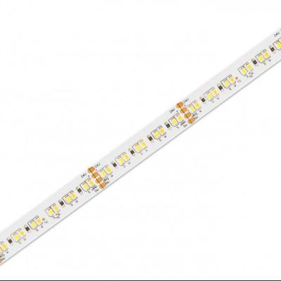 China Warehouse/Garden/Theme Park Adjustable White Adjustable High Efficiency Dual CCT Led Smd 2835 Flexible Strip Light for sale