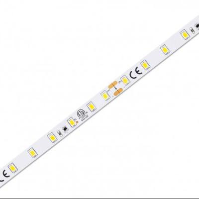 China Warehouse/Garden/Theme Park Led Strip Dc24v 70leds/m 50m/reel Constant Current Waterproof Flexible Smd 2835 Ultra Long High Quality for sale