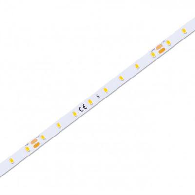 China Warehouse/Garden/Theme Park Smd 2835 8mm Dc24v Led Strip Rope Light 160 LEDs 3000k 4000k 6500k Led Flexible Strip for sale