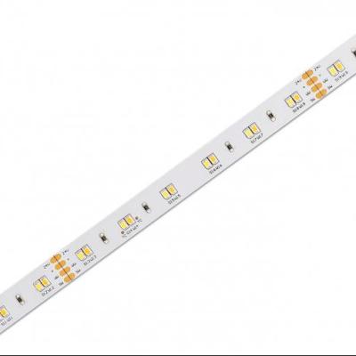 China 2016 White Adjustable Color Temperature Warehouse/Garden/Theme Park Flexible Strip Led Strip Light With 120leds/m Dc24v Dual White Led Strip for sale