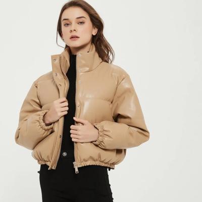 China 2021 Winter New Women's QUICK DRY Stand Collar Single Row Cotton Coats Thin Thickened Leather Jacket for sale