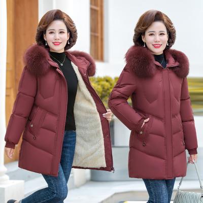 China Sustainable western style cotton-padded jacket elegent women coats thicken fashionable wholesale clothing for sale