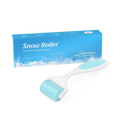 China Waterproof ABS Stainless Steel Face Ice Roller for Wrinkle Remover in Beauty Salon for sale