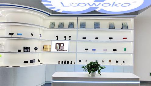 Verified China supplier - Shenzhen Loowoko Technology Limited