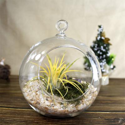 China Handblown Europe Home Decoration Round Hollow Globe Plant Borosilicate Glass Sphere Ball Mini Hanging Greenhouses for sale