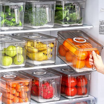 China Fresh Clear Plastic Pet Food Fruit Vegetable Storage Container Fresh Keep Kitchen Storage Box Fridge Organizer With Lid for sale