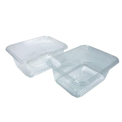 China Customizable PET Cake Box Insert Tray Blister Packaging for Bakeries Fruits Vegetables for sale