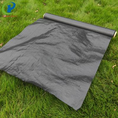 China Anti-grass garden landscaping fabric roll with UV for 5 years using life for sale