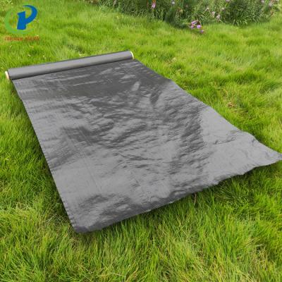 China Anti-grass PP Landscape Golf Weed Control Fabric Woven Mat Ground Cover for sale