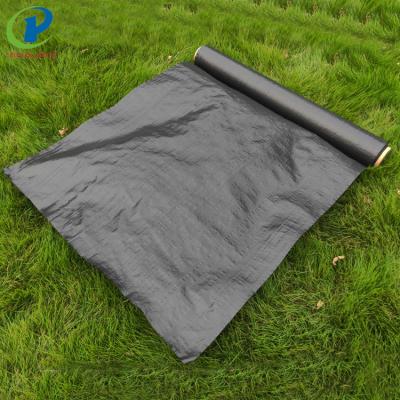 China Anti-grass weed barrier mat for high quality mat black weed control farm pp plastic plant cover for sale