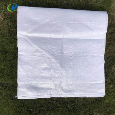 China Disposable Custom Logo Printing Plastic Packing Pp Woven Bag for sale