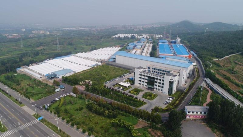 Verified China supplier - Shandong Qihe Bio Technology Co., Ltd.