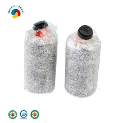 China FROZEN High Quality Mycelium Gray Oyster Mushroom Spawn Grow Bags for sale