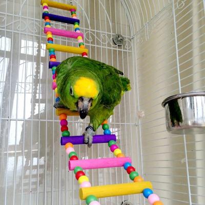 China Viable Bird Pets Bird Supplies Hanging Colorful Balls Climbing Toy 1 Pcs Parrots Ladders Natural Wooden Bird Toys for sale