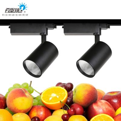 China High Brightness Fruitmeat Meat Vegetables Food Spotlight 24w 36w Supermarket Aluminum Special Light Track Led Cool Light for sale